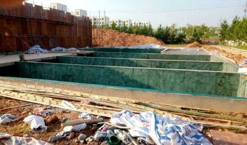 䓷ʩ|(zh)z(yn)(bio)(zhn)